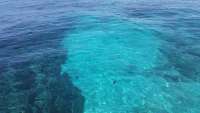 Great day of scuba diving in Key Largo with Rainbow Reef on pickle barrel wreck tropical explorer 2015 06 27 r1681 1