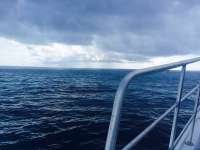 Great day of scuba diving in Key Largo with Rainbow Reef on sand island tropical adventure 2015 06 07 r1592 1