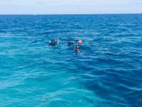 Great day of scuba diving in Key Largo with Rainbow Reef on sand island tropical explorer 2015 06 06 r1587 1