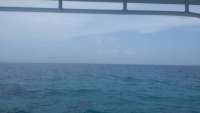Great day of scuba diving in Key Largo with Rainbow Reef on sand island tropical odyssey 2015 06 27 r1684 1