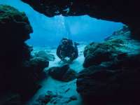 Great day of scuba diving in Key Largo with Rainbow Reef on snapper ledge tropical explorer 2015 06 30 r1697 1