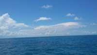 Great day of scuba diving in Key Largo with Rainbow Reef on snapper ledge tropical odyssey 2015 06 07 r1594 1
