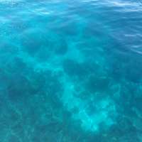 Great day of scuba diving in Key Largo with Rainbow Reef on snapper ledge tropical voyager 2015 06 26 r1674 1