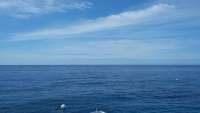 Great day of scuba diving in Key Largo with Rainbow Reef on spiegel grove tropical adventure 2015 06 04 r1578 1