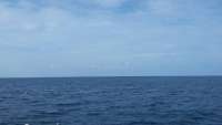 Great day of scuba diving in Key Largo with Rainbow Reef on spiegel grove tropical adventure 2015 06 10 r1606 1