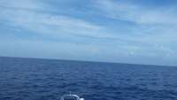 Great day of scuba diving in Key Largo with Rainbow Reef on spiegel grove tropical adventure 2015 06 25 r1666 1