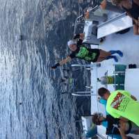 Great day of scuba diving in Key Largo with Rainbow Reef on spiegel grove tropical voyager 2015 06 07 r1590 1