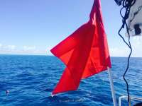 Great day of scuba diving in Key Largo with Rainbow Reef on spiegel grove tropical voyager 2015 06 16 r1628 1