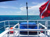Great day of scuba diving in Key Largo with Rainbow Reef on the horseshoe tropical adventure 2015 06 28 r1690 1