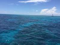 Great day of scuba diving in Key Largo with Rainbow Reef on uscgc duane tropical adventure 2015 06 01 r1571 1