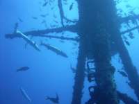 Great day of scuba diving in Key Largo with Rainbow Reef on uscgc duane tropical adventure 2015 06 26 r1671 1