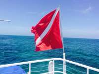 Great day of scuba diving in Key Largo with Rainbow Reef on uscgc duane tropical adventure 2015 06 29 r1693 1