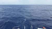 Great day of scuba diving in Key Largo with Rainbow Reef on uscgc duane tropical voyager 2015 06 15 r1621 1