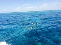 Great day of scuba diving in Key Largo with Rainbow Reef on winch hole tropical adventure 2015 06 24 r1664 1