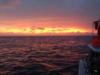 Great day of scuba diving in Key Largo with Rainbow Reef on winch hole tropical odyssey 2015 06 25 r1670 2