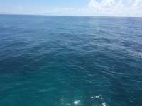 Great day of scuba diving in Key Largo with Rainbow Reef on woodys tropical odyssey 2015 06 09 r1602 1
