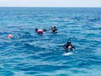 Great day of scuba diving in Key Largo with Rainbow Reef on banana patch tropical adventure 2015 03 31 r1346 1