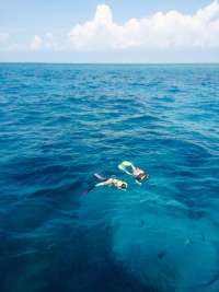 Great day of scuba diving in Key Largo with Rainbow Reef on benwood wreck tropical voyager 2015 03 27 r1329 1