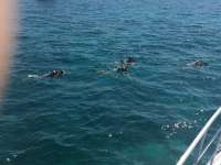 Great day of scuba diving in Key Largo with Rainbow Reef on christ statue tropical adventure 2015 03 21 r1304 1