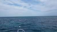 Great day of scuba diving in Key Largo with Rainbow Reef on christ statue tropical adventure 2015 03 28 r1332 1