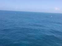 Great day of scuba diving in Key Largo with Rainbow Reef on christmastree cave tropical odyssey 2015 03 06 r1254 2