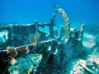Great day of scuba diving in Key Largo with Rainbow Reef on city of washington tropical odyssey 2015 03 17 r1283 1