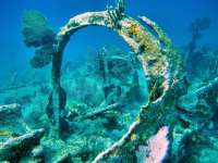 Great day of scuba diving in Key Largo with Rainbow Reef on city of washington tropical odyssey 2015 03 17 r1283 2