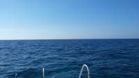 Great day of scuba diving in Key Largo with Rainbow Reef on fire coral cave tropical adventure 2015 03 18 r1285 1