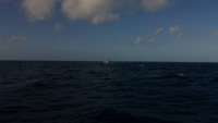 Great day of scuba diving in Key Largo with Rainbow Reef on french reef tropical adventure 2015 03 10 r1262 1
