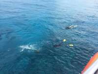Great day of scuba diving in Key Largo with Rainbow Reef on french reef tropical odyssey 2015 03 24 r1316 1