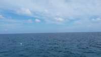 Great day of scuba diving in Key Largo with Rainbow Reef on french twist tropical adventure 2015 03 22 r1310 1