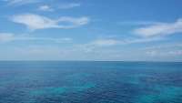 Great day of scuba diving in Key Largo with Rainbow Reef on minnow cave tropical odyssey 2015 03 25 r1320 1