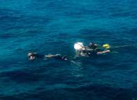 Great day of scuba diving in Key Largo with Rainbow Reef on molasses deep tropical odyssey 2015 03 15 r1276 1