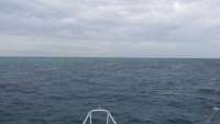 Great day of scuba diving in Key Largo with Rainbow Reef on molasses reef tropical adventure 2015 03 07 r1256 1