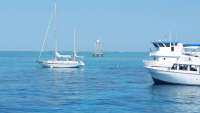 Great day of scuba diving in Key Largo with Rainbow Reef on molasses reef tropical adventure 2015 03 16 r1278 1