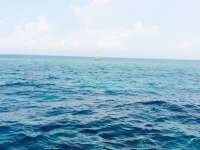 Great day of scuba diving in Key Largo with Rainbow Reef on molasses reef tropical adventure 2015 03 26 r1323 1
