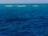 Great day of scuba diving in Key Largo with Rainbow Reef on molasses reef tropical odyssey 2015 03 01 r1241 1