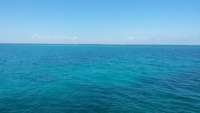 Great day of scuba diving in Key Largo with Rainbow Reef on molasses reef tropical odyssey 2015 03 21 r1301 1