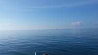 Great day of scuba diving in Key Largo with Rainbow Reef on molasses reef tropical odyssey 2015 03 25 r1319 1