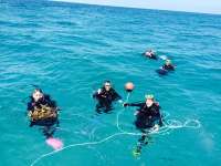Great day of scuba diving in Key Largo with Rainbow Reef on molasses reef tropical voyager 2015 03 18 r1290 1