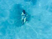 Great day of scuba diving in Key Largo with Rainbow Reef on north star tropical voyager 2015 03 20 r1297 1