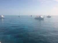 Great day of scuba diving in Key Largo with Rainbow Reef on permit ledges tropical odyssey 2015 03 16 r1277 1