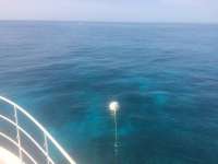Great day of scuba diving in Key Largo with Rainbow Reef on permit ledges tropical odyssey 2015 03 16 r1277 2