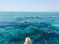 Great day of scuba diving in Key Largo with Rainbow Reef on pickles reef tropical adventure 2015 03 26 r1325 1