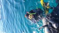 Great day of scuba diving in Key Largo with Rainbow Reef on pickles reef tropical odyssey 2015 03 21 r1305 1