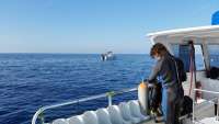 Great day of scuba diving in Key Largo with Rainbow Reef on rebreather duane tropical explorer 2015 03 21 r1299 1