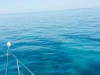 Great day of scuba diving in Key Largo with Rainbow Reef on snapper ledge tropical voyager 2015 03 21 r1300 1