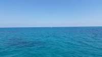 Great day of scuba diving in Key Largo with Rainbow Reef on spiegel grove tropical adventure 2015 03 17 r1281 1