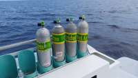Great day of scuba diving in Key Largo with Rainbow Reef on spiegel grove tropical adventure 2015 03 24 r1315 1
