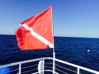 Great day of scuba diving in Key Largo with Rainbow Reef on spiegel grove tropical adventure 2015 03 31 r1343 1